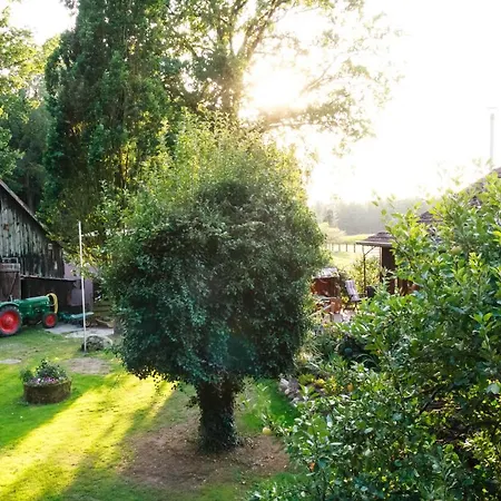 Ferienhaus Rodewald Bomlitz Exterior photo